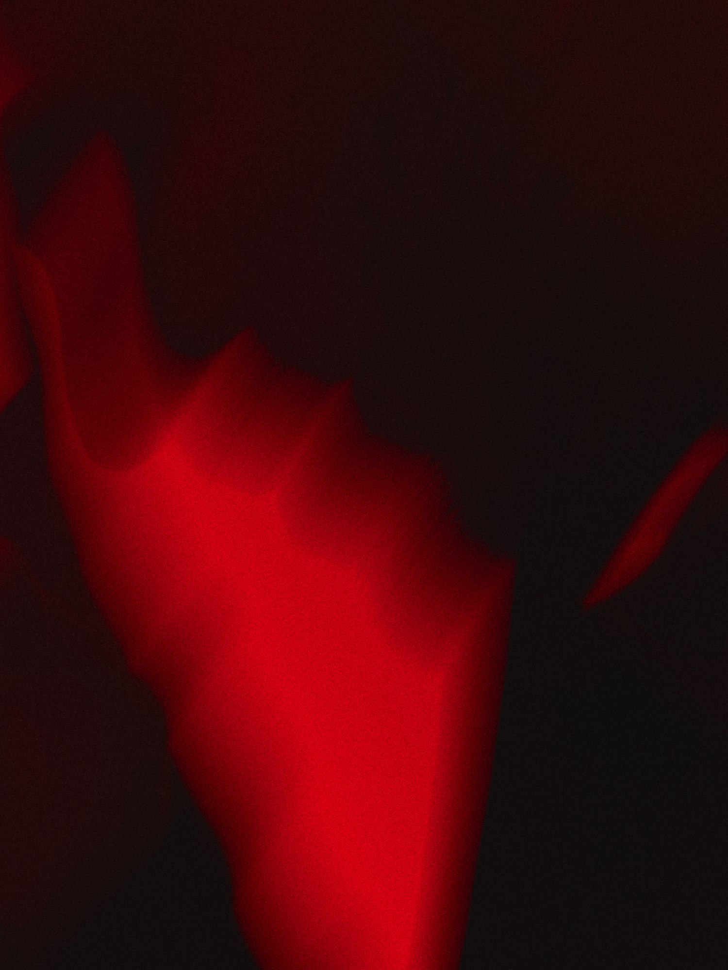 BARONS AW26 — red photograph 5