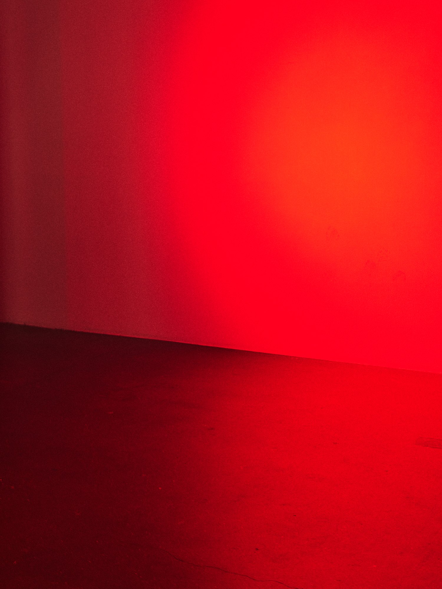 BARONS AW26 — red photograph 14