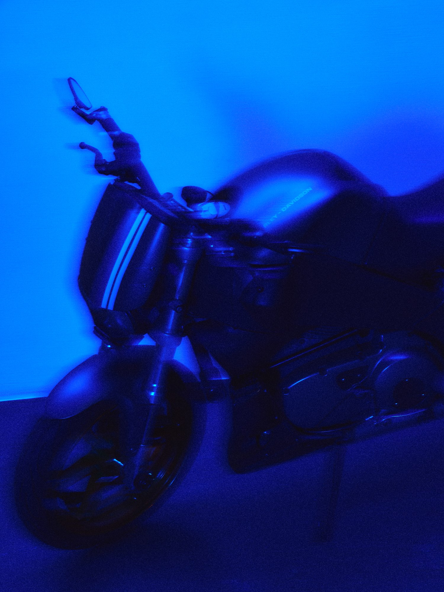 BARONS AW26 — blue photograph 3