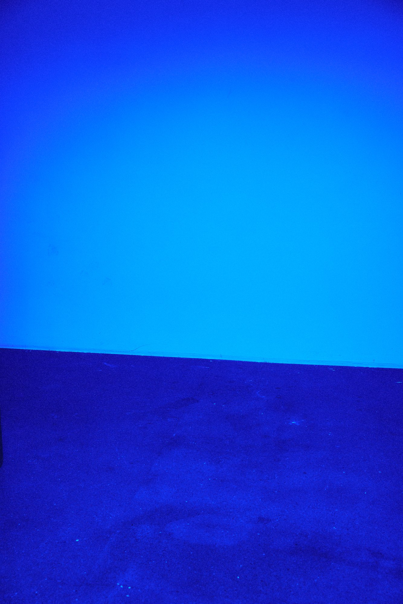 BARONS AW26 — blue photograph 17